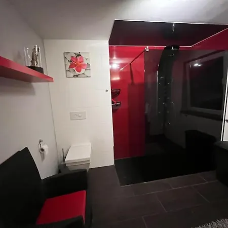 Großzügige Im Oberland Apartment